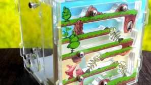 Ферма мравки какви видове са от кои материали е най-добре да си купите формаликария